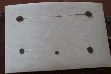 altes Foto - erhängter Partisan ? Russland ?